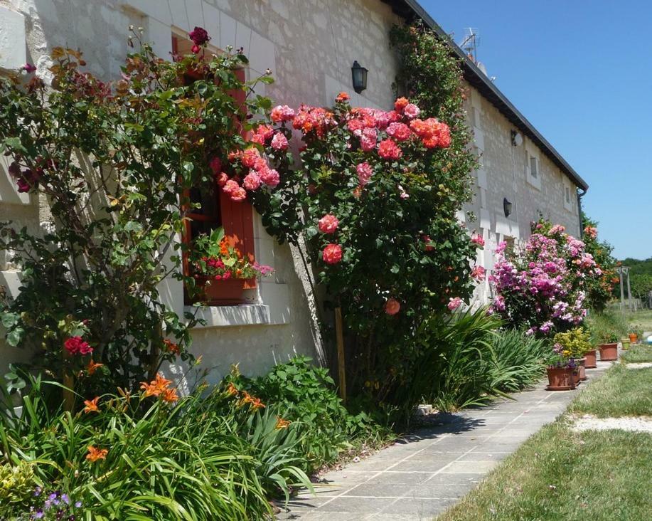 Hotel La Maison Des Fleurs Saint-Senoch Exteriér fotografie